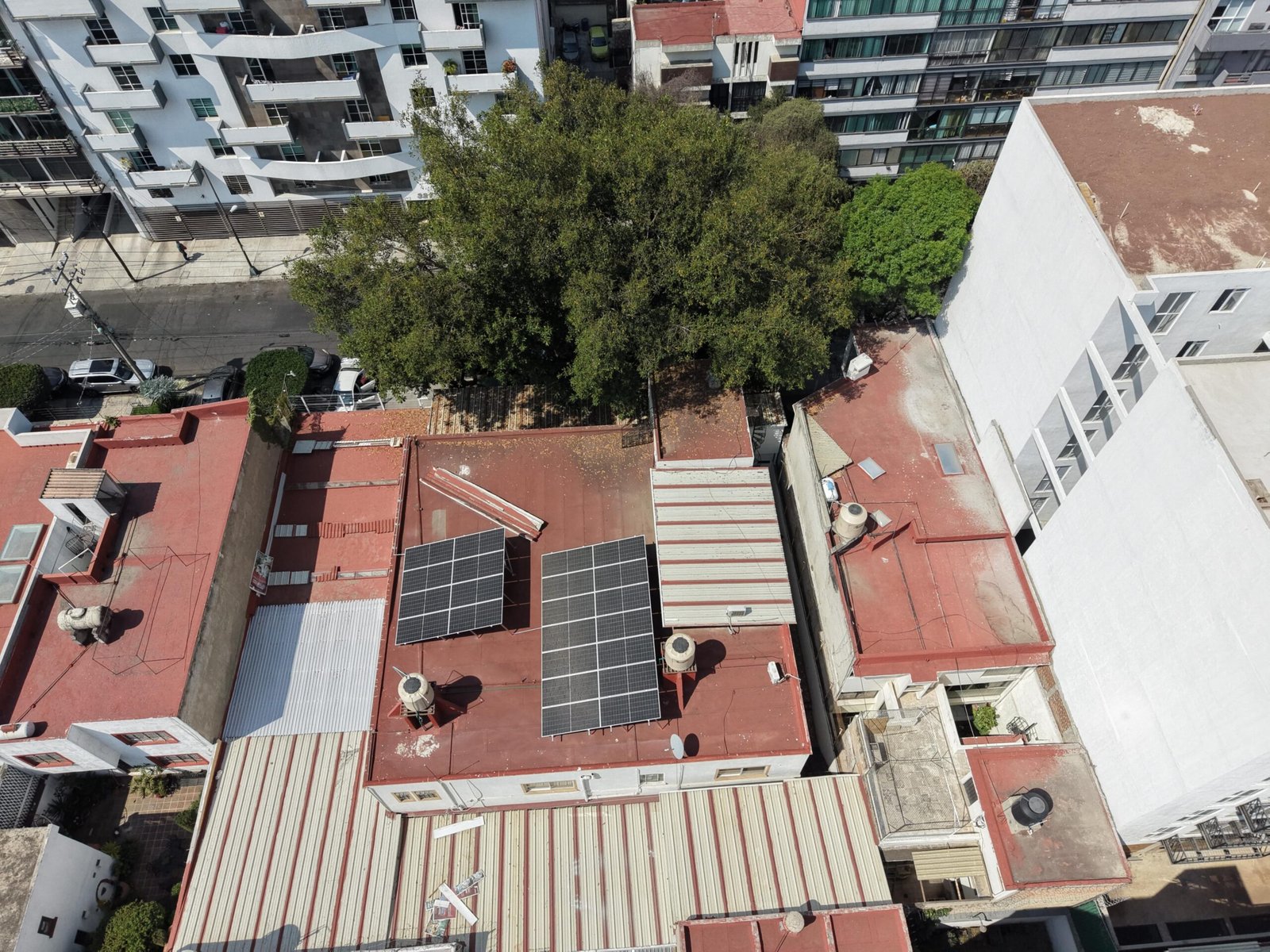 Home whatsapp image 2026 03 30 at 2.27.46 pm